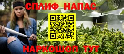 крисы Ирбит