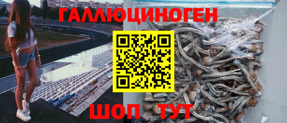 ГАШИШ Элиста