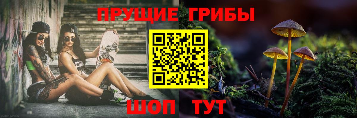 Галлюциногенные грибы Psilocybine cubensis  Псилоцибиновые грибы MAGIC MUSHROOMS  Вход с VPN  Элиста 
